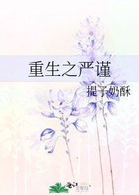 重生之嚴謹