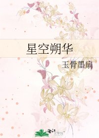 《星空朔华》
