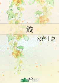 鮫