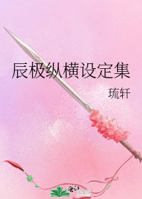 辰極縱橫設定集