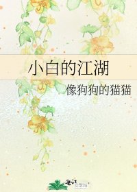 小白的江湖