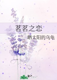 《茗茗之戀》