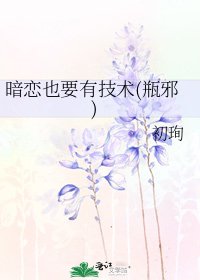 《暗恋也要有技术(瓶邪)》