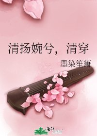 《清揚婉兮,清穿》