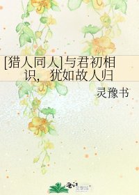 [獵人同人]與君初相識，猶如故人歸