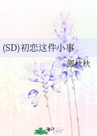 《(SD)初恋这件小事》
