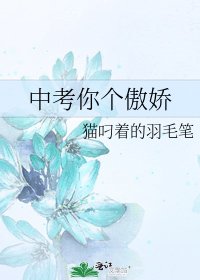 中考你個傲嬌