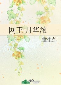 《网王 月华浓》