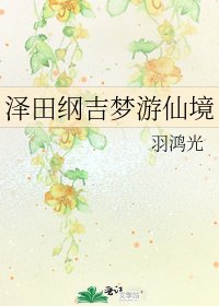 《澤田綱吉夢遊仙境》