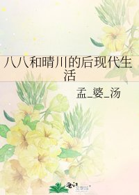 八八和晴川的后现代生活