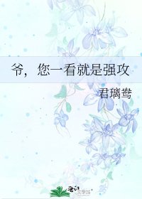 《爷,您一看就是强攻》