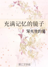 《充满记忆的镜子》