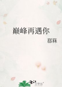 巅峰再遇你