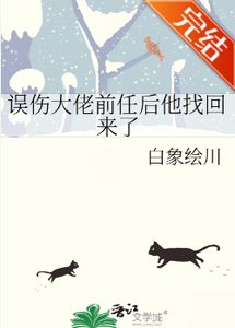 《誤傷大佬前任後他找回來了》