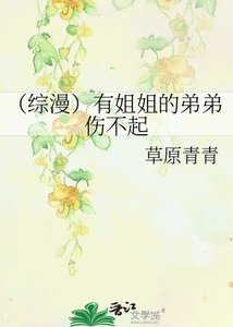 《(綜漫)有姐姐的弟弟傷不起》