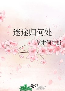 《迷途歸何處》