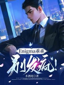 《Enigma乖乖,別發瘋!》