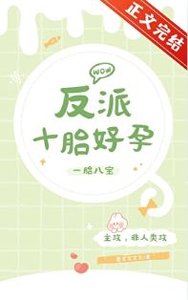 《反派十胎好孕》