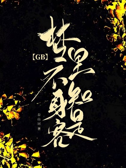 《夢裡不知申是客GB》