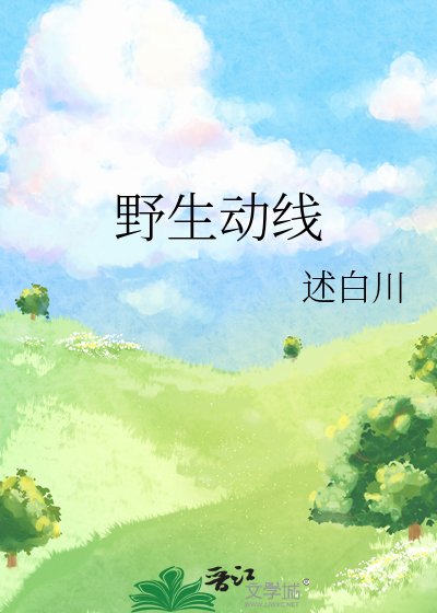 《野生动线》