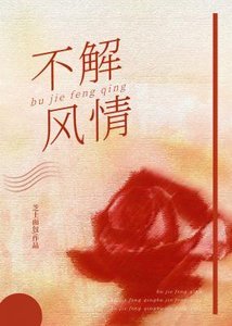 不解風情