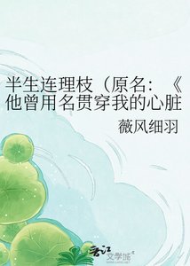 《他曾用名貫穿我的心臟》
