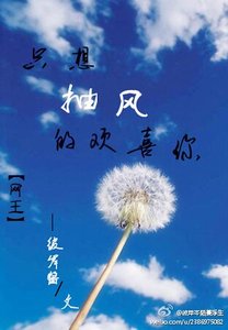《(網王同人)只想抽風的喜歡你》