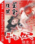 《腹黑宝宝斗气妃》