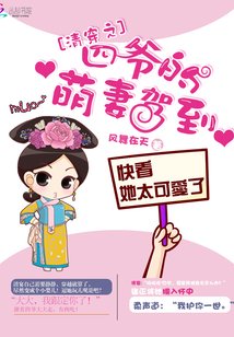《清穿之四爷的萌妻驾到》